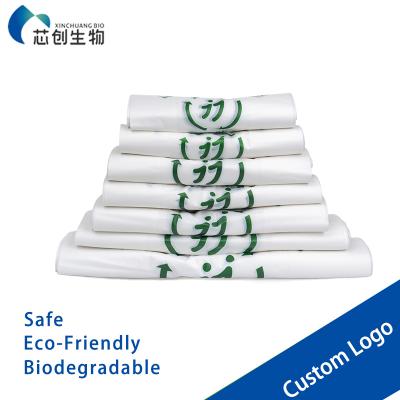 Compostable PLA Shopping Bag